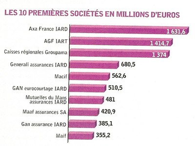 dmg aux biens